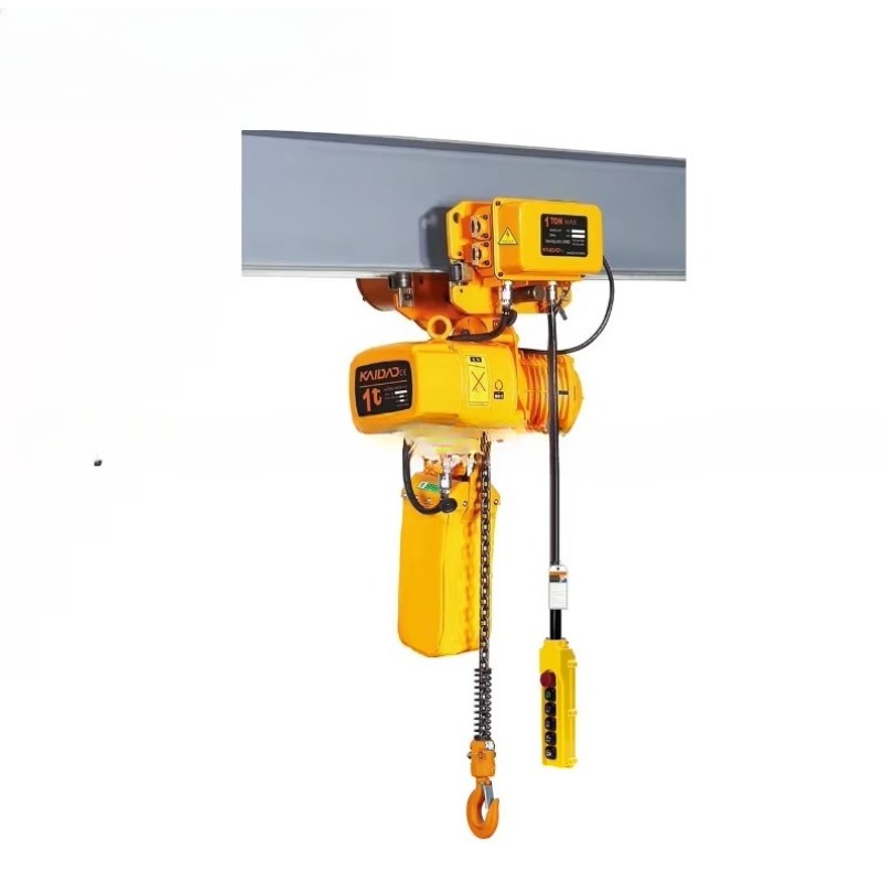 Dual Speed Electric Chain Hois - Heavy Equipment Electrical review and price