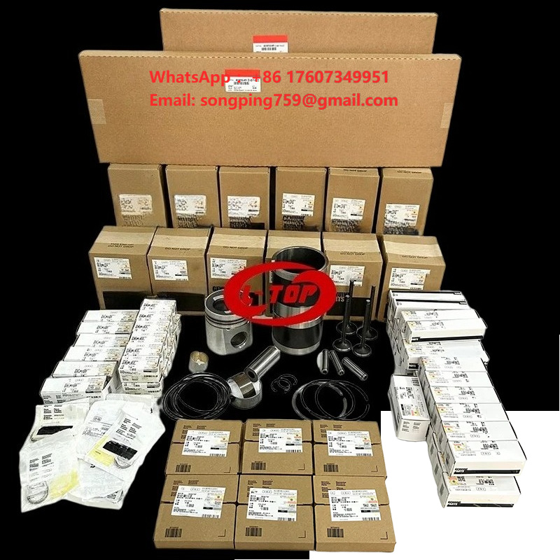 6D114 Diesel Engine Rebuild Ki - Heavy Equipment Parts Supply review and price